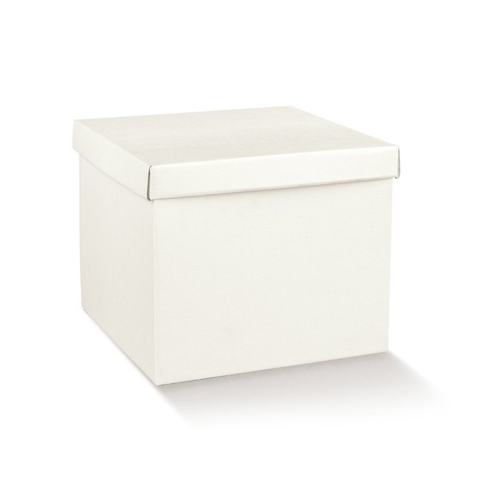 FCECON 250X250X60 FIBRA BIANCA